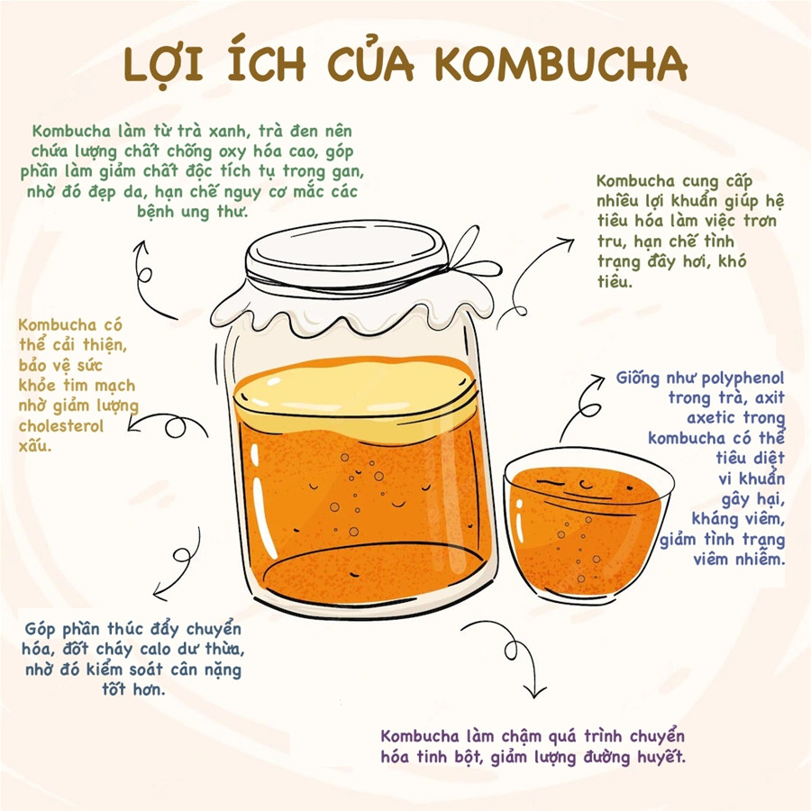Lợi ích của trà lên men Kombucha Lợi ích của trà lên men Kombucha